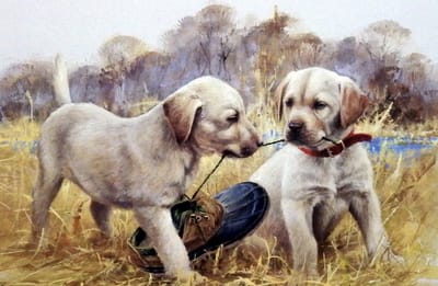 TOPMO - Puppies samen spelen - 40X50CM- Diamond painting pakket - HQ Diamond Painting - VOLLEDIG dekkend - Diamant Schilderen - voor Volwassenen – ROND