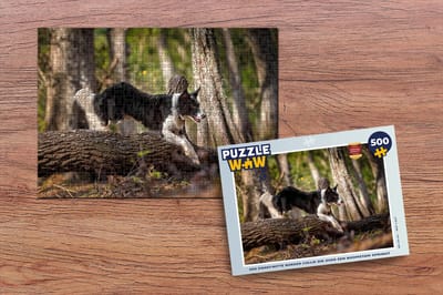 Puzzel Een zwart-witte border collie die over een boomstam springt - Legpuzzel - Puzzel 500 stukjes