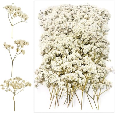 100 Stuks Gedroogde Panikulata Bloemen - Natuurlijke Decoratie voor Hars, Ambachten en Bloemstukken