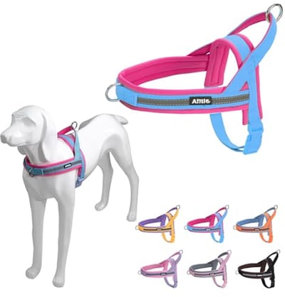 Hondenharnas voor kleine honden - Antitrekkend, comfortabel en veilig - Ideaal voor wandelen