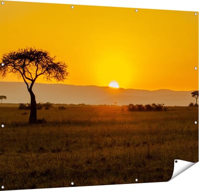 Gards Tuinposter Zonsopgang in de Savanne met een Boom - 150x120 cm - Tuindoek - Tuindecoratie - Wanddecoratie buiten - Tuinschilderij