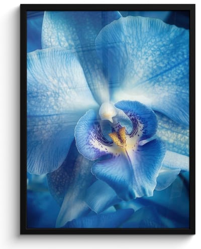 Poster in lijst - Fotolijst 50x70 cm - Posters - Blauw - Orchidee - Elegeant - Posterlijst zwart - Decoratie - Wanddecoratie woonkamer - Muurdecoratie slaapkamer