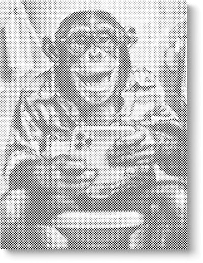 Aap Op Toilet | Dot painting | 40x50cm | Dot painting | Oh My Dotz | Dots stippen | Diamond painting & Schilderen op nummer alternatief | Happy hobby