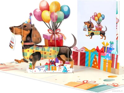 Popcards Pop-up Kaart - Verjaardagskaart Teckel Hond Dachshund – Een Feestelijke Groet op Korte Pootjes | Wenskaart 3D kaart