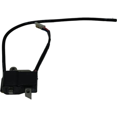 Ignition module