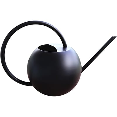 Arrosoir à long bec en acier inoxydable pour fleurs, arrosoir de jardinage domestique, arrosoir à main en métal gray