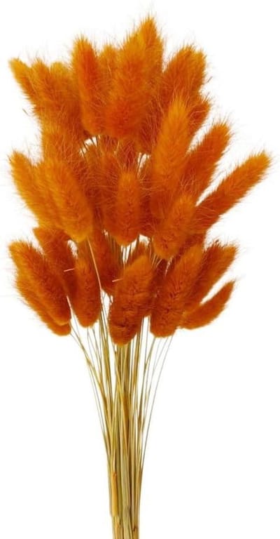 Gedroogd Pampasgras - Droogbloemen Boeket - Woonkamer Decoratie - Natuurlijk en Onderhoudsvrij - 50 Stuks - Donkeroranje