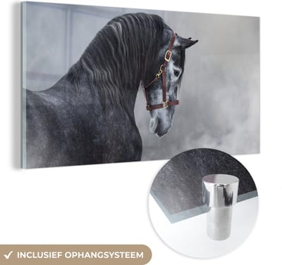 MuchoWow® Glasschilderij 40x20 cm - Schilderij acrylglas - Paard - Grijs - Bruin - Dieren - Rook - Foto op glas - Schilderijen