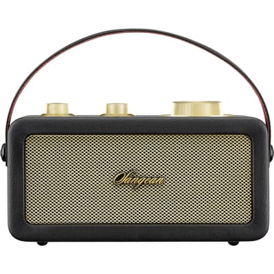 Sangean RA-101 Draagbare radio FM Bluetooth, AUX Oplaadbaar Zwart, Goud