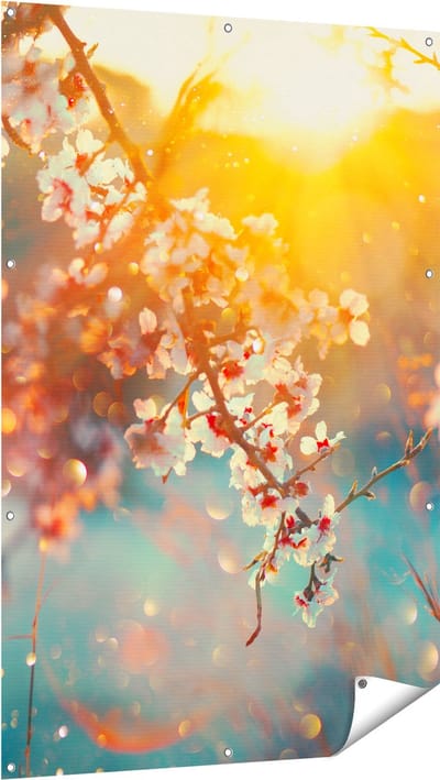Gards Tuinposter Bloesemboom tijdens Zonsondergang - Bloem - 100x150 cm - Tuindoek - Tuindecoratie - Wanddecoratie buiten - Tuinschilderij