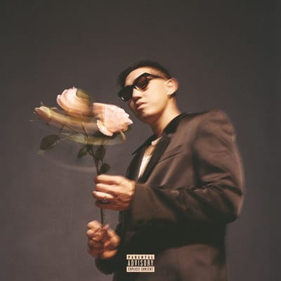 Monsieur Nov - Love Therapy (CD) (Edition Rose)