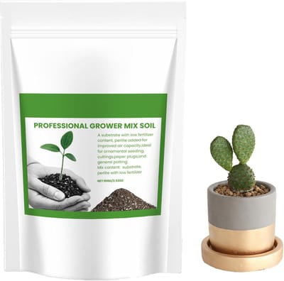 Potgrond Binnenplanten - Aarde Potten Terrarium - Planten Verzorgen - Optimale Drainage Ventilatie - 19.2 x 13.8 x 3.3 cm