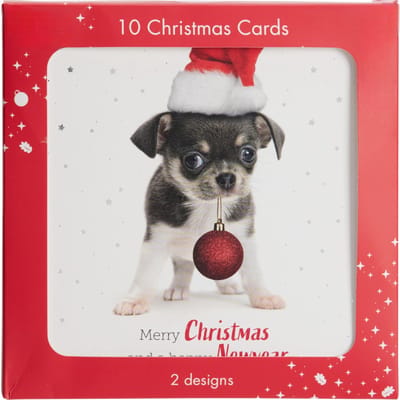 Dailygoods- Kerstkaarten Set 10 Stuks - 2 Ontwerpen - 14x14 cm Vouwbare Kaarten - Blanco Binnenkant - Feestelijke Wenskaarten - Liefdevol Ontworpen