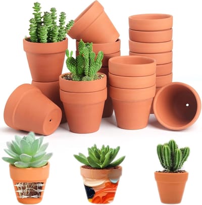 20 Stuks Mini Bloempotten van Aardewerk - Perfect voor Cactussen en Vetplanten