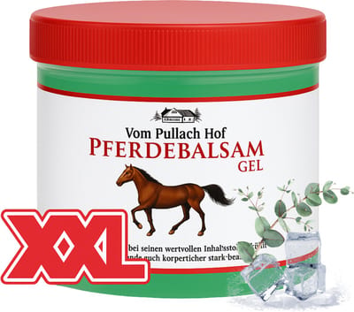 Vom Pullach Hof Pferdebalsam Gel 500 ml - Paardenbalsem voor Spieren & Gewrichten - Verfrist en Stimuleert Doorbloeding