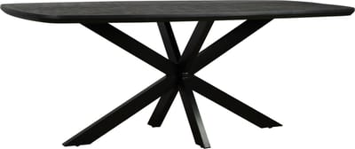 Eettafel Colorado Deens ovaal mangohout 220x110 cm - zwart