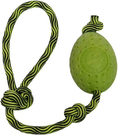 kiwi walker - hondenspeelgoed - egg green- met touw - drijvend - apporteren - waterspel ...