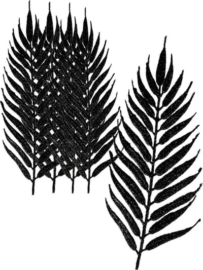 Othmar Decorations kerstdecoratie bladeren 6x-zwart 24 cm glitter