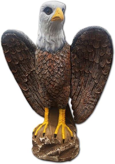 Gevleugelde arend met geluid en lager, Winged Eagle