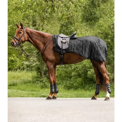 Waterdichte paardendekens Waldhausen Exclusive