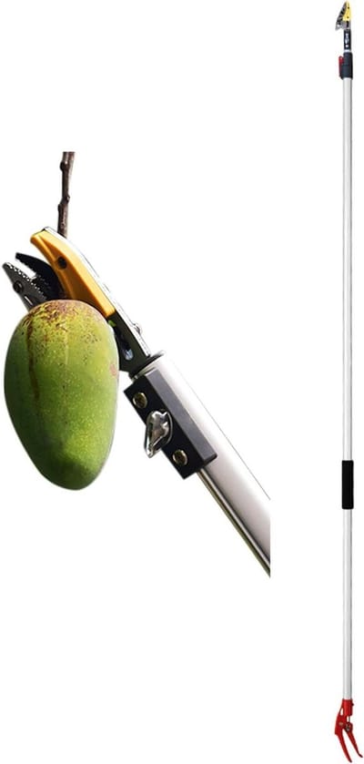 Fruitplukker Lange Steel - Boomgaard Gereedschap - Fruit Oogsten - Telescopisch Verstelbaar - 2 Meter - Niet Gespecificeerd