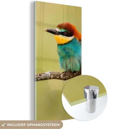 MuchoWow® Glasschilderij 20x40 cm - Schilderij acrylglas - Vogel - Bijeneter - Dieren - Foto op glas - Schilderijen