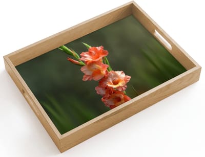 Dienblad hout 40x30 cm - Schootdienblad - Bloem - Gladiolen - Zalmroze - Borrelplank rechthoek - Plateau dienbladen
