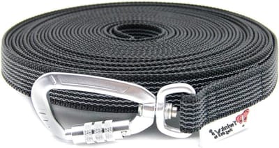 Hondenriem - Sleeplijn Trainingslijn - Hondentraining Buiten - Antislip Rubberdraad - 15 meter - Zwart