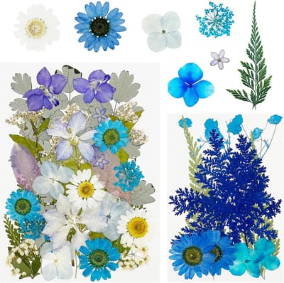 40 Stuks Gedroogde Blauwe Bloemen en Bladeren voor Hars Kunst, Sieraden Maken en Scrapbooking