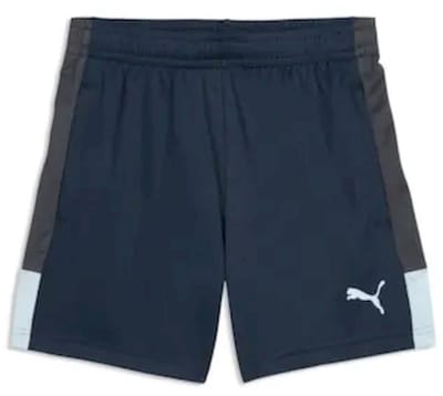 PUMA - individualliga training shorts jr - Voetbalbroek jongens - Blauw