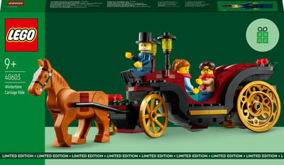 LEGO Iconic 40603, Bouwpakket, 9 jaar, Kunststof, 153 stuk(s), 238 g