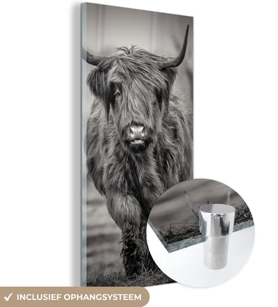MuchoWow® Glasschilderij 20x40 cm - Schilderij acrylglas - Schotse Hooglander - Zwart - Wit - Foto op glas - Schilderijen