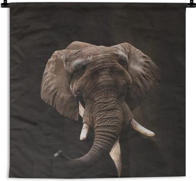 Wandkleed - Wanddoek - Portret - Olifant - Kunst - 60x60 cm - Wandtapijt