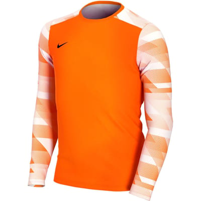 Kinder doelmannen shirt lange mouwen Nike Dry Park IV