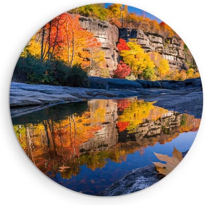 Saammp Muurcirkel Hout - Blad op steen - Landschap - Natuur - Ø 90 - Wandcirkel - Wanddecoratie Cirkel - Muurdecoratie Woonkamer - Slaapkamer decoratie - Rond Schilderij
