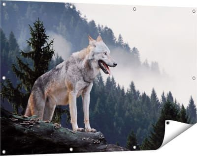 Gards Tuinposter Grijze Wolf in de Bossen - 120x80 cm - Tuindoek - Tuindecoratie - Wanddecoratie buiten - Tuinschilderij