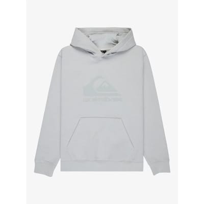 Quiksilver Comp Logo Kids Hoodie wit