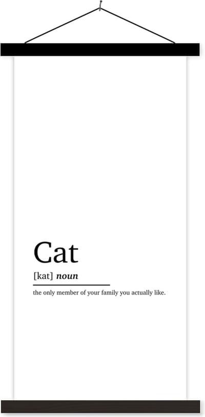Posterhanger incl. Poster 40x80 cm - Schoolplaat - Woordenboek - Quotes - Spreuken - Kat definitie - Cat - Textielposter - Zwarte latten