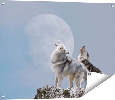 Gards Tuinposter Twee Wolven Die Huilen tijdens Volle Maan - 80x60 cm - Tuindoek - Tuindecoratie - Wanddecoratie buiten - Tuinschilderij