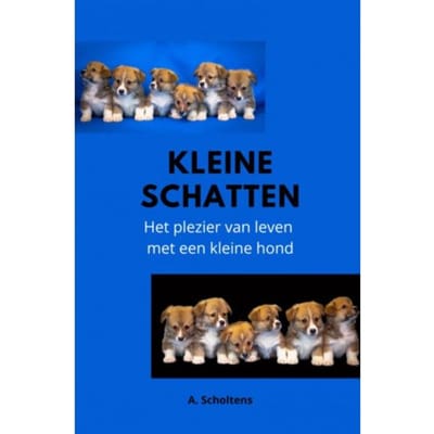 Kleine Schatten - A. Scholtens