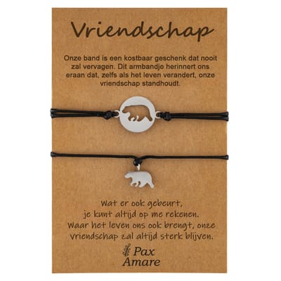 Vriendschapsarmbandjes voor 2 "Vriendschap" - Beertjes - BFF Armbandjes met Cadeau Kaartje - Zilverkleurig - Elastisch Verstelbaar - Pax Amare