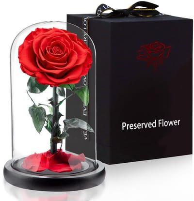 Dailygoods- Rozen Onder Glazen Koepel - Eternelle Rozen - Verjaardagscadeau voor Vrouwen - Valentijnsdag Cadeau - Moederdag Cadeau - Luxe Verpakking - 14 x 24 cm - Bloemen