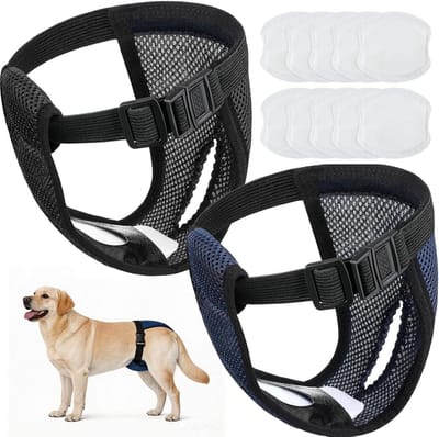 Hernieuwbare Hondenluiers voor Mannelijke en Vrouwelijke Honden, Verstelbare en Wasbare Hondenbroekjes met 10 Maandverbanden voor Loopse Periodes en Fysiologische Cyclus (XL, 33-50 kg)