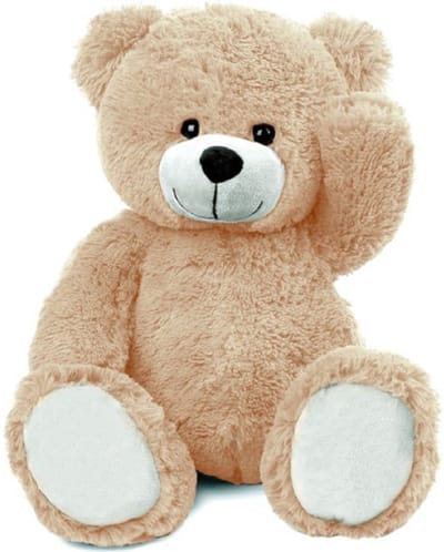 Teddybeer Barry (Lichtbruin) Pluche Knuffel XXL 100 cm – Grote XXL Teddybeer 100cm – XL Knuffelbeer extra Groot