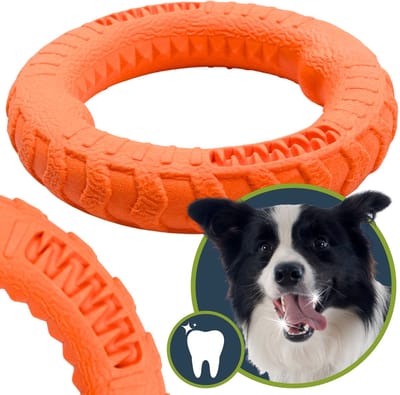 Hondenspeeltje voor tandverzorging, KAUWSPEELGOED voor apporteren, GOOIEN, voor het reinigen van tanden 17 cm
