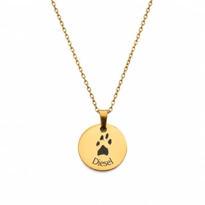 Ketting met Pootafdruk en Naam Goud