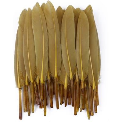 50/100/200 stuks Blauwe Ganzenveren Harde Schacht 4-6inch/10-15cm Echte Natuurlijke Zwanenveer Huis Decoratief Dromenvanger Handwerk 200pieces
