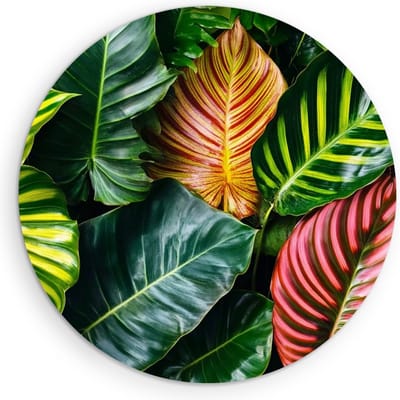 Saammp Muurcirkel Hout - Kleurrijke bladeren - Natuur - Landschap - Ø 90 - Wandcirkel - Wanddecoratie Cirkel - Muurdecoratie Woonkamer - Slaapkamer decoratie - Rond Schilderij