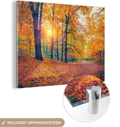MuchoWow® Glasschilderij 120x90 cm - Schilderij acrylglas - Bomen - Herfst - Bos - Herfstbladeren - Foto op glas - Schilderijen