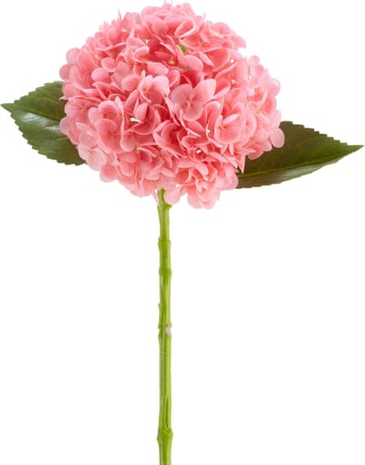 Easyplants | Kunstbloem Charlotte Hortensia Real Touch donker roze 55 cm | Zijde | Nepbloemen | roze | Onderhoudsvrij | Kant-en-klaar